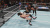 WWE 2K19 PS4 анг. б\у от магазина Kiberzona72