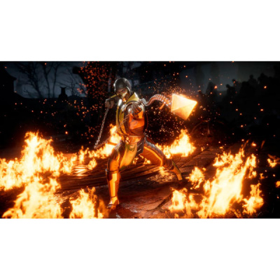 Mortal Kombat 11 PS4 от магазина Kiberzona72