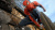 Marvel Человек-паук Spider Man 2018 PS4 рус. б\у от магазина Kiberzona72