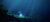 Under The Waves В Глубинах Океана PS4 рус.суб. б\у Under The Waves В Глубинах Океана PS4 рус.суб. б\у от магазина Kiberzona72