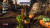 Plants vs. Zombies Garden Warfare PS4 анг. б/у от магазина Kiberzona72
