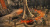 Prince Of Persia Забытые пески (The Forgotten Sands) Xbox 360 рус. б\у от магазина Kiberzona72